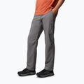 Spodnie trekkingowe męskie Columbia Silver Ridge Utility city grey 4