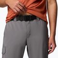 Spodnie trekkingowe męskie Columbia Silver Ridge Utility city grey 5