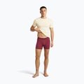 Bokserki termoaktywne męskie icebreaker Anatomica Boxers port 5