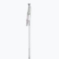 Kije narciarskie Salomon Polar Access white 2