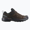 Buty trekkingowe męskie Salomon X ULTRA 360 LTR GTX dark earth/delicioso/ sharkskin 9