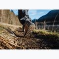 Buty trekkingowe damskie Salomon X ULTRA 360 LTR GTX cognac/peppercorn/black 11
