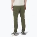 Spodnie trekkingowe męskie Salomon Wayfarer Ease grape leaf 2