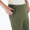 Spodnie trekkingowe męskie Salomon Wayfarer Ease grape leaf 3