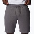 Spodenki trekkingowe męskie Columbia Logo Fleece city grey heather 4