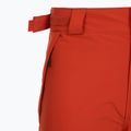 Spodnie narciarskie męskie Columbia Shafer Canyon II sail red 10