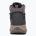 Buty trekkingowe damskie Columbia Newton Ridge Plus Wp Amped stratus/canyon rose 6