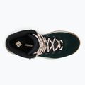 Buty trekkingowe damskie Columbia Newton Ridge Plus WP Amped black/ blush rose 13