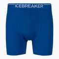 Bokserki termoaktywne męskie icebreaker Anatomica lazurite