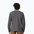 Bluza męska Patagonia Lightweight Unity Fitz Wildrise Crew ink black 2