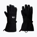Rękawice narciarskie męskie The North Face Montana Ski black