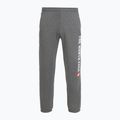 Spodnie męskie The North Face Varsity Graphic medium grey heather
