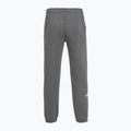 Spodnie męskie The North Face Varsity Graphic medium grey heather 2