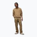 Spodnie męskie  Jordan Brooklyn Fleece desert camo/desert camo 2