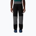 Spodnie trekkingowe męskie The North Face Stolemberg Convertible Slim Tapered anthracite grey/tnf black 3
