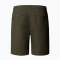 Spodenki męskie The North Face Limestone new taupe green 5