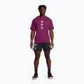 Spodenki męskie Under Armour Project Rock Terry Badge Of Honor Fleece black 2