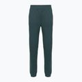 Spodnie damskie The North Face Mountain Athletics Fleece deep cypress/space