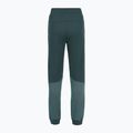 Spodnie damskie The North Face Mountain Athletics Fleece deep cypress/space 2