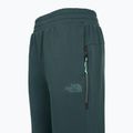 Spodnie damskie The North Face Mountain Athletics Fleece deep cypress/space 3