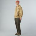 Bluza męska The North Face Mountain Logo Relaxed Hooded khaki stone 2