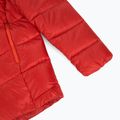Kurtka puchowa męska Patagonia Fitz Roy Down Hoody amanita red 4