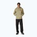 Bluza męska Patagonia P-6 Logo Uprisal gumtree green 2
