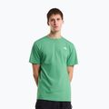 Koszulka męska The North Face Evolution Simple Dome dimmed algae