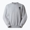 Bluza The North Face Celebration Relaxed Crew Graphic tnf light grey heather 5