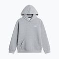 Bluza dziecięca The North Face Evolution Simple Dome Pullover Hood tnf pale grey heather