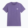 Koszulka damska The North Face Evolution Simple Dome Slim SS grounded plum 4