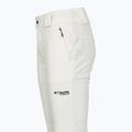 Spodnie narciarskie damskie Columbia Roffee Ridge VI sea salt 11