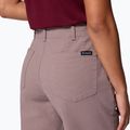 Spodnie trekkingowe damskie Columbia ROC Straight Leg iron 6