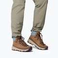 Buty turystyczne męskie Columbia Newton Alpine PT light brown/metal 8