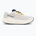 Buty do biegania męskie Salomon Aero Blaze 3 Gravel GTX vanilla ice/astral aura/lemon 2