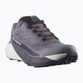 Buty do biegania damskie Salomon Pulsar excalibur/vanilla ice/nine iron 8
