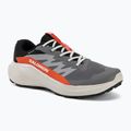 Buty do biegania męskie Salomon Alphaglide GTX castlerock/lunar rock