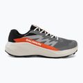 Buty do biegania męskie Salomon Alphaglide GTX castlerock/lunar rock 2