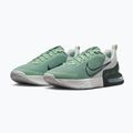Buty treningowe męskie Nike Air Max Alpha Trainer 6 steam/spruce aura/off white/black spruce 10