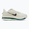 Buty do biegania damskie Nike Pegasus Premium sea glass/malachite/metallic silver 2