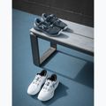 Buty do tenisa męskie HEAD Revolt Evo 5.0 blueberry/teal 8