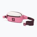 Saszetka nerka Columbia Trail Traveler Hip sea salt/rosette/moonvista