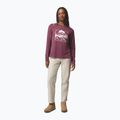 Longsleeve damski Columbia Parsons Point Graphic Tee antique mauve heather/all terrain 2
