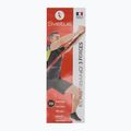 Plakat Sveltus Elastiband 3 Strengths colorfull