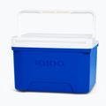 Lodówka turystyczna Igloo Cool 9 QT 8 l majestic blue 2