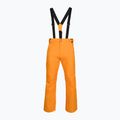 Spodnie narciarskie męskie Rossignol Ski sunburst 8