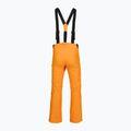 Spodnie narciarskie męskie Rossignol Ski sunburst 9