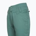 Spodnie snowboardowe damskie ROXY Diversion sea pine 9