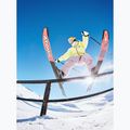 Spodnie snowboardowe damskie ROXY Passive Lines nirvana 11