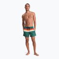 Szorty kąpielowe męskie Quiksilver Everyday Printed Volley 15" forest outside stripe 2